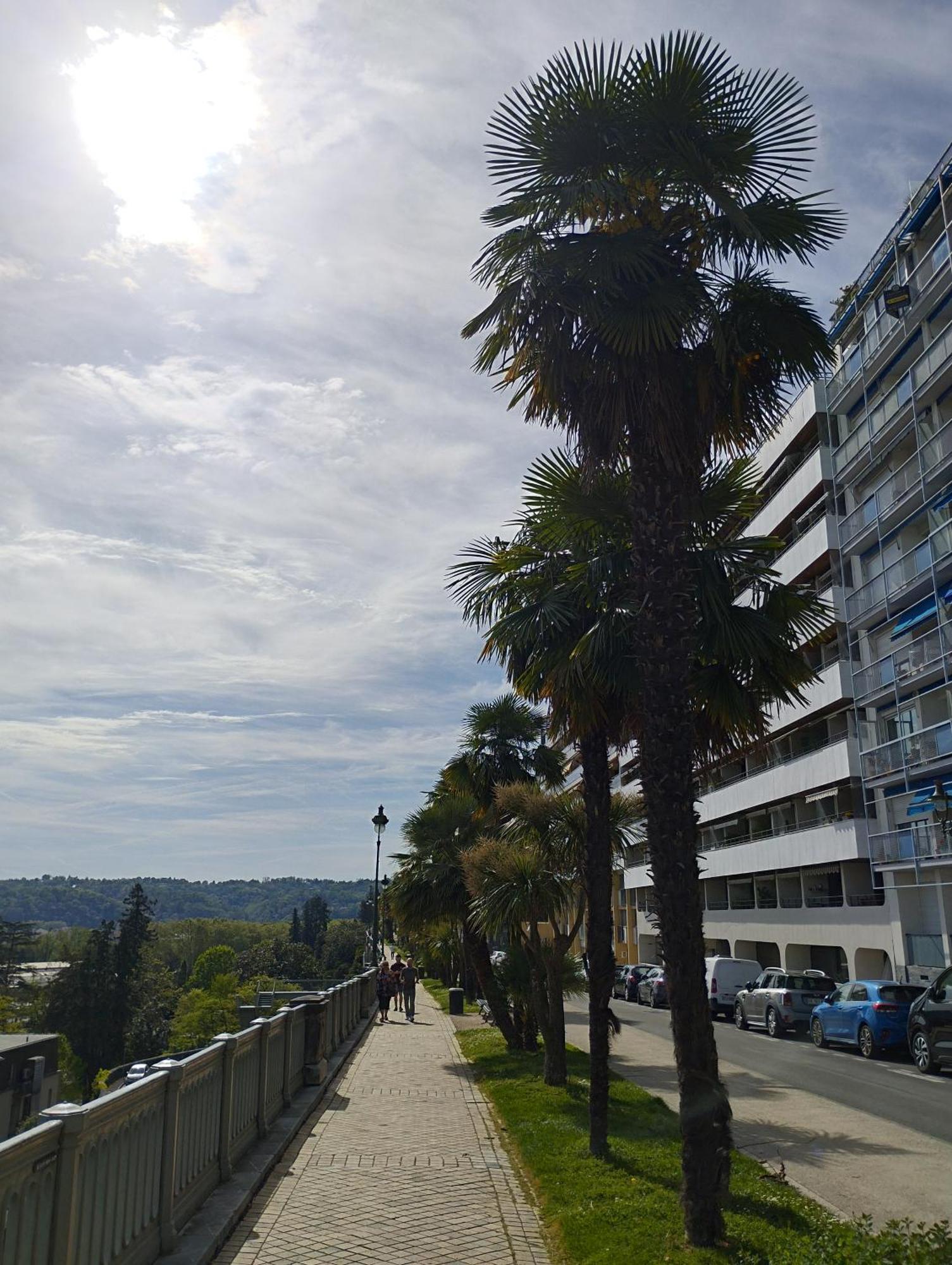 Chambrette Boulevard Des Pyrenees Hypercentre 10M Carre Wc Sur Le Palier, Porte40 Pau Eksteriør bilde